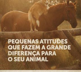 Agrocenter Nativos photo 1