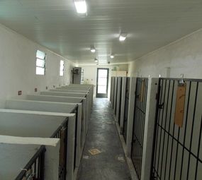 Pet's Place photo 1