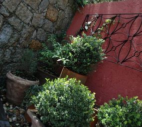 O Jardim Arquitetura Paisagística photo 2