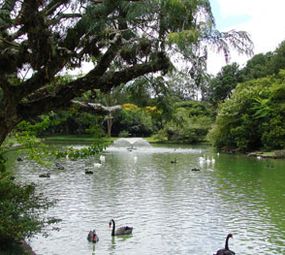 Parque Zoológico - Fundação Zoobotânica do RS photo 1