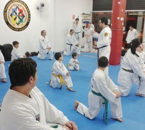 Golden Martial Arts photo 2