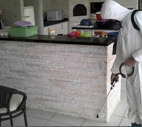 Antinset Dedetizadora e Desentupidora