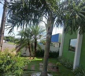 Ciqueira Jardinagem e Paisagismo   photo 1