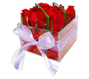 Mania de Flor photo 2