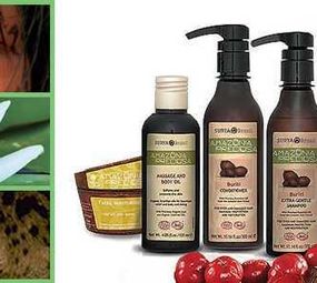 Terra Viva Cosméticos Orgânicos photo 1