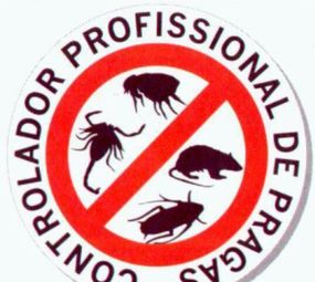 Desentupidora Sul Lider