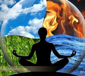 MiaCasa Feng Shui  photo 2