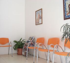 Gaia Clínica Veterinária photo 2