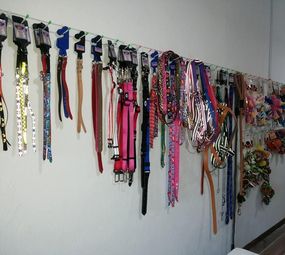 Guardião Pet Shop photo 1