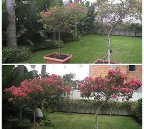 Ecojardim Florianópolis photo 2