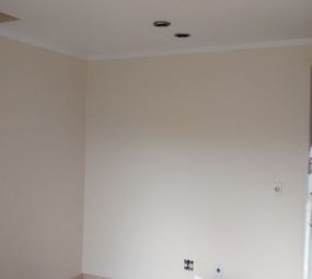 Tok de Seda Pinturas