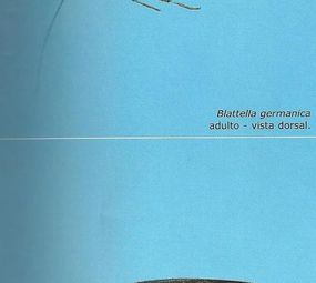 Imunizadora Renck photo 2