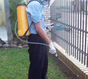 Dedetizadora Detinsect  photo 2