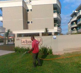 FS Jardinagem e Serviços photo 2