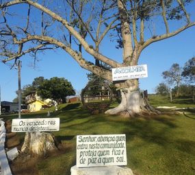 Comunidade Terapêutica Acolher photo 1