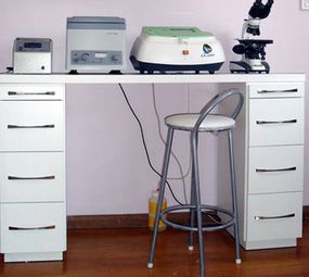 Chatterie - Centro de Saúde do Gato photo 2