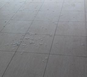 Construções Reformas em Geral