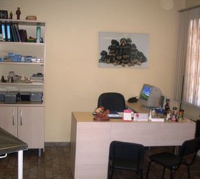 Clínica Veterinária Dra. Aline Pauli photo 2