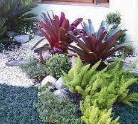 RD Paisagismo e Jardinagem