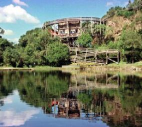 Bosque Zanielli photo 1