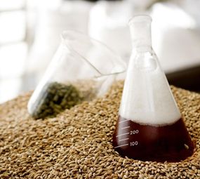 Chopp - Ralf Beer photo 2