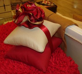 Salamandra Pedraria photo 2