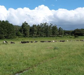 RECANTOS DA DIVISA photo 2