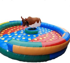 Bombando Brinque - Recreação e Locação de Brinquedos photo 1