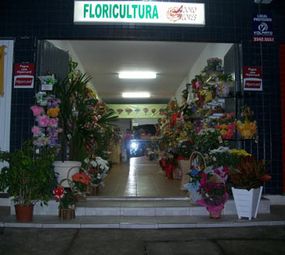 Floricultura Adoro Flores photo 1