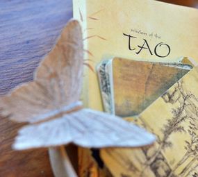 LugarYincomum photo 1