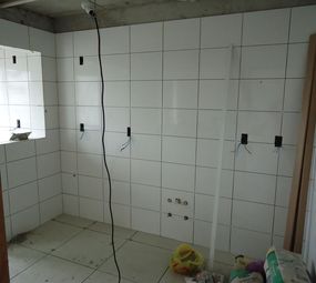 Luciano Azulegista e Reformas em Geral