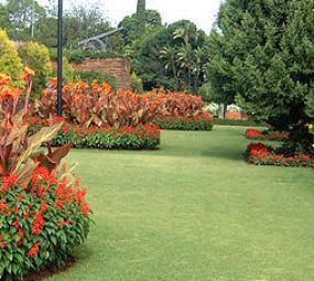 Da Ilha Jardinagem