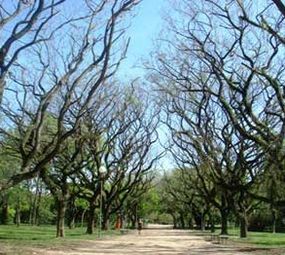 Parque Marinha do Brasil photo 2