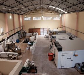 Baldhead Cervejas Especiais photo 2