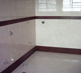 Luciano Azulegista e Reformas em Geral