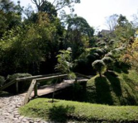 Bosque Gutierrez / Memorial Chico Mendes photo 1