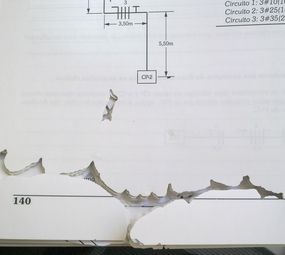 Bio Cupim Control Dedetização photo 2