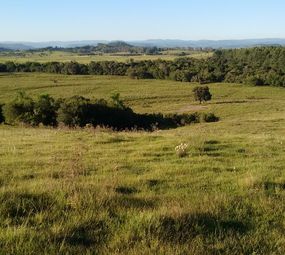 Masyk Empreendimentos Imobíliarios